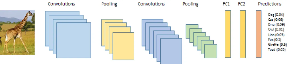 Figure 1. Typical CNN architecture. An image is passed through multiple convolution and pooling  operations to extract features and fed to the FC layer for classification