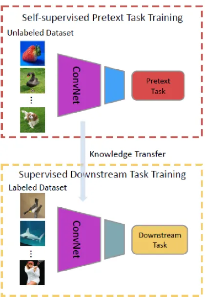 Figure 2. A general pipeline for self-supervised learning [14]. 