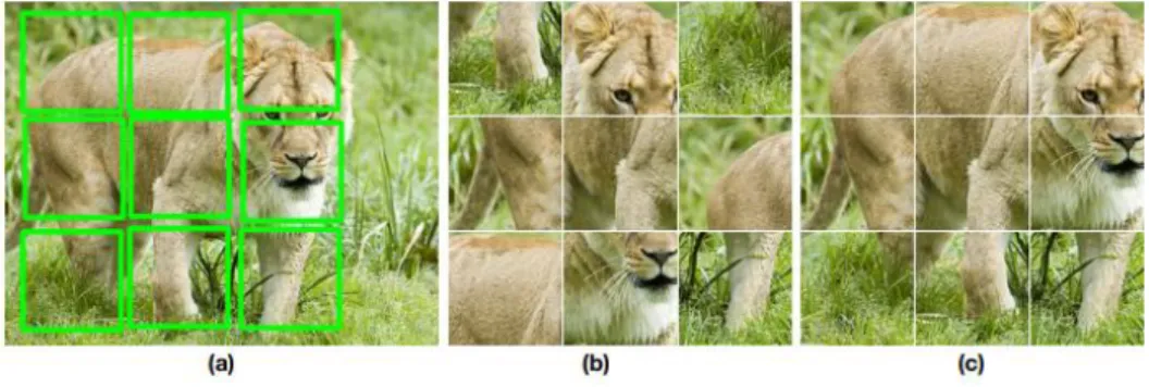 Figure  3  Image  representation  learning  by  solving  Jigsaw  puzzle  [26].  The  visualization  of  the  Jigsaw puzzle can be seen where (a) is an image with nine sampled image patches, (b) is an example  of  rearranged  image  patches,  and  (c)  show