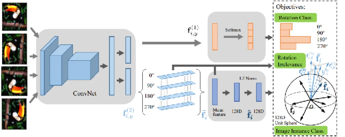Figure 5. Rotation feature decoupling network [29]. 