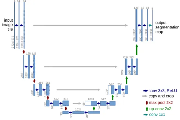 Figure 7 U-Net architecture consists of an encoder (left part) and a decoder path (right part)