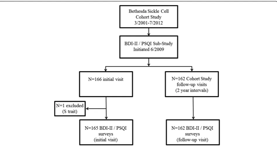 Figure 2 Correlation between Pittsburgh Sleep Quality Index(PSQI) and Beck Depression Inventory II (BDI-II) survey scores.