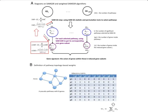 Fig. 1 Diagrams to elucidate both SAMGSR and weighted-SAMGSR algorithms