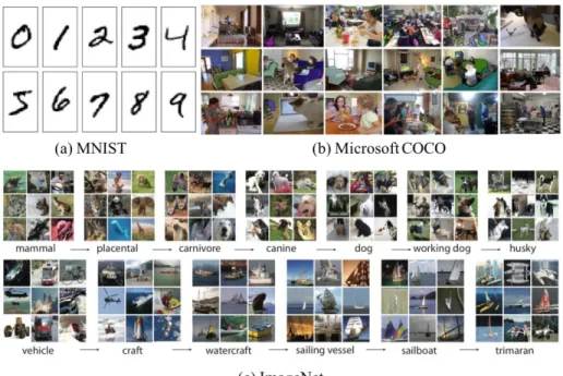 Figure 1: Samples of some typical datasets 