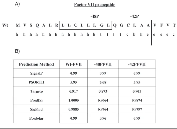 Figure 1. Computational analysis of FVII prepeptide sequence. (A) Amino acid se-quence of the FVII prepeptide and prediction of the secondary structure