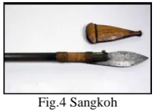 Fig.4 Sangkoh  
