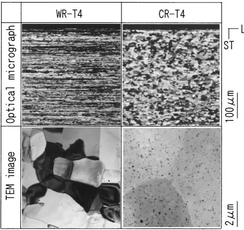 Fig. 2Optical micrographs of warm rolled sheet in T4 condition.