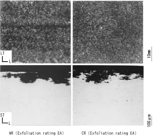Fig. 7Appearance and photomicrographs showing cross sections of warmrolled sheet (WR) and cold rolled sheet (CR) exposed to the standardEXCO solution for 9 h.