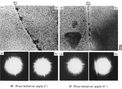 Fig. 10ODFs of the warm rolled sheet at the center layer in T4 condition.