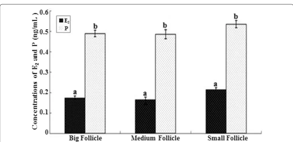 Fig. 1 Quantitative real-time PCR analysis of CART mRNA expression in big, medium and small follicles