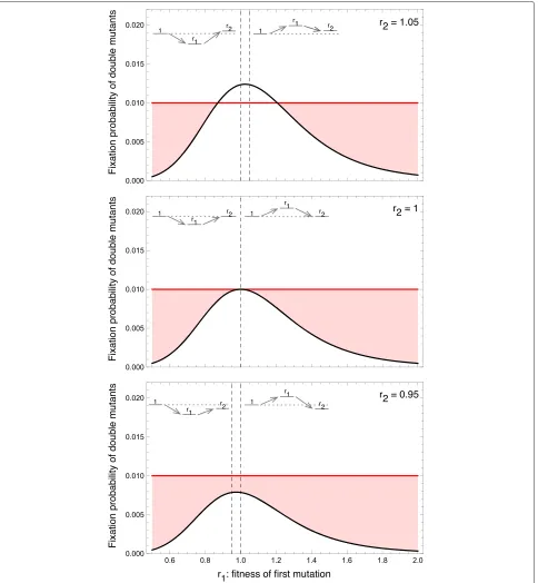Fig. 3 Fixation probability of two consecutive mutations on the directed line, a suppressor of selection (mutation (of sizered), and the well-mixed population (black) N = 10