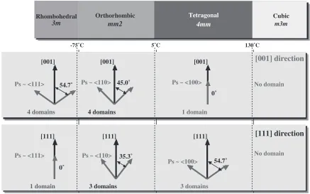 Fig. 4Two engineered domain conﬁgurations for the [111]c poled(a) tetragonal and (b) orthorhombic BaTiO3 single crystals.