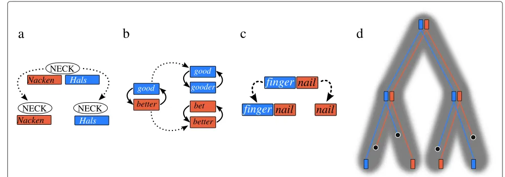 Fig. 4 Polymorphisms in language evolution. a Synonymy: languages have many nearly synonymous words (German Hals and Nacken both mean‘neck’ in English)