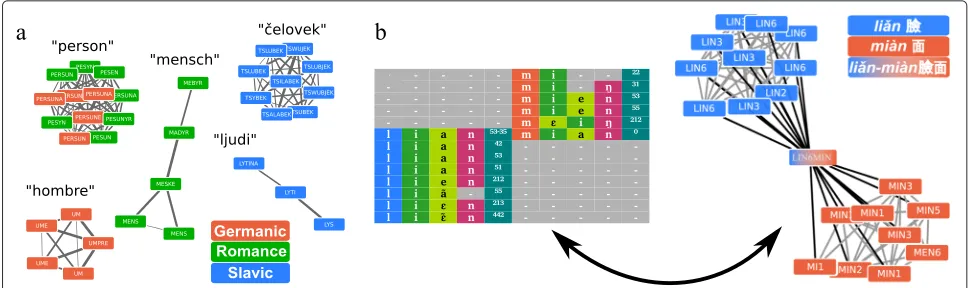 Fig. 5 Similarity networks applied to linguistic data.their local and global alignments, edges colored in gray show identical alignments for local and global analyses