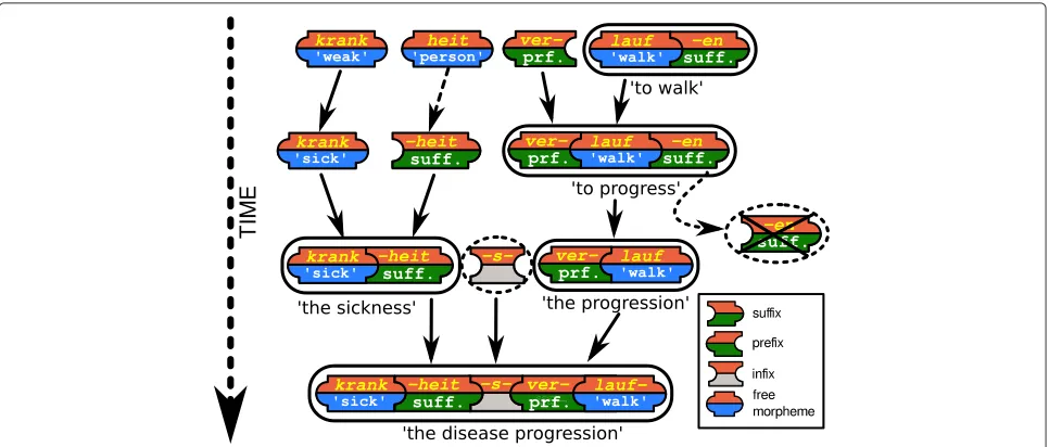 Fig. 6 Word formation processes in the German language. Word derivation and word compounding are the major processes underlying wordformation
