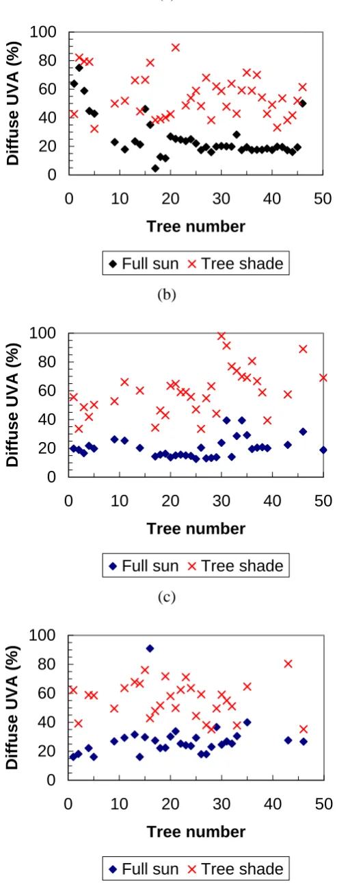 Figure 2 – The percentage diffuse UVA radiation in the full sun and the tree shade in the (a) morning, (b) noon and (c) afternoon