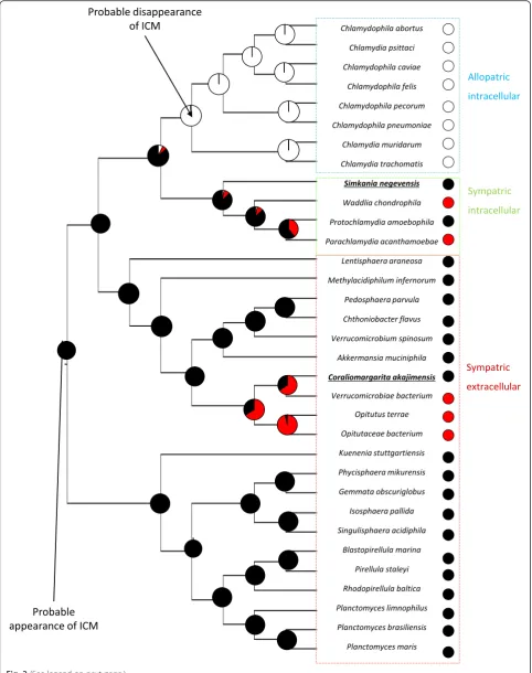 Fig. 2 (See legend on next page.)