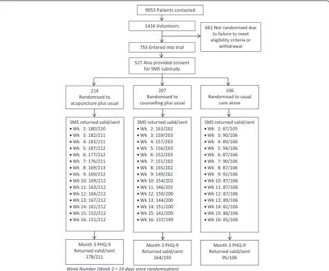 Figure 1 Participant flowchart for SMS sub study.