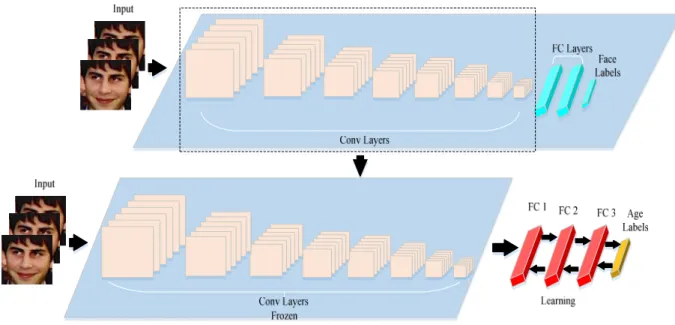 Figure 1. Fine-tuning domain specific pre-trained model for age classification. 