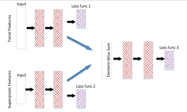 Figure 5. Jointly fine-tuning of two DNNs. CNN-FS uses facial and superpixels related features, the outputs  of the last hidden layers of CNN-F and CNN-S, which are summed by element-wise