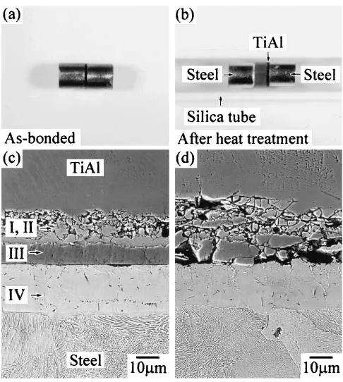 Fig. 5(a) and (b) External views of TiAl/eutectoid steel joints of as-bonded and heat-treated states, respectively