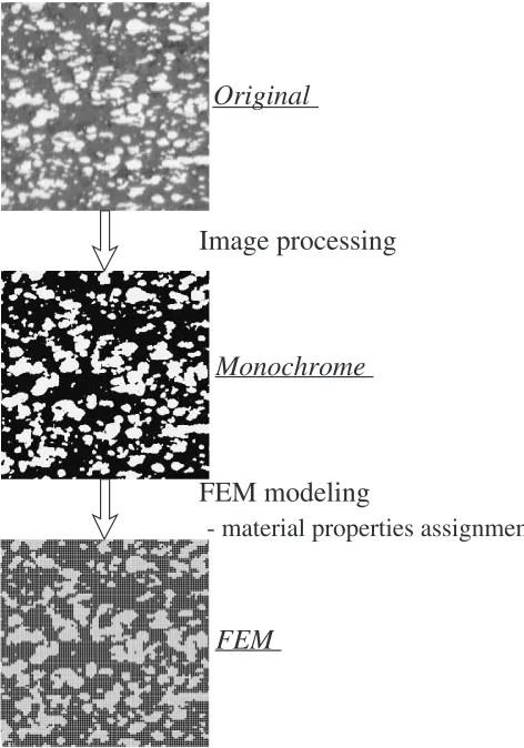 Fig. 1Procedure for microstructural modeling.