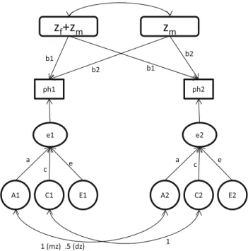 Fig. 1 Path diagram of the model. Ph1 (ph2) is the phenotype as observed in twin 1 (twin 2)
