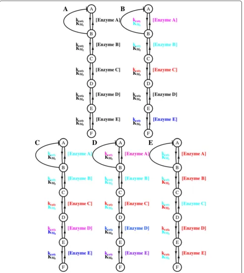 Fig. 4 Clustering of co-evolving parameters across simulations. Colors represent parameters which are found to cluster together (at the 5 % level),intermediate, andwhile black parameters were not found to have significant associations with clusters