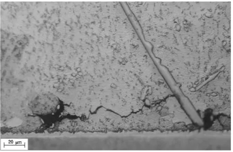 Fig. 8Optical micrograph showing a large Ag3Sn plate blocking thepropagation of a crack in Sn-3.8Ag-0.7Cu joint (Ring-1) near the PCB sideafter ATC of 0 to 100�C with a 120-min cycle time.