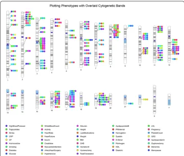 Figure 9 Cytogenetic band option within PhenoGram. It is possible to shade the chromosomes withpredefined cytogenetic bands on any PhenoGram plot