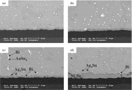 Fig. 2SEM micrographs of a Sn-3Ag-6Bi-2In/Au/Ni/Cu interface after aging for 50 days at; (a) 343 K, (b) 373 K, (c) 393 K and (d)443 K.