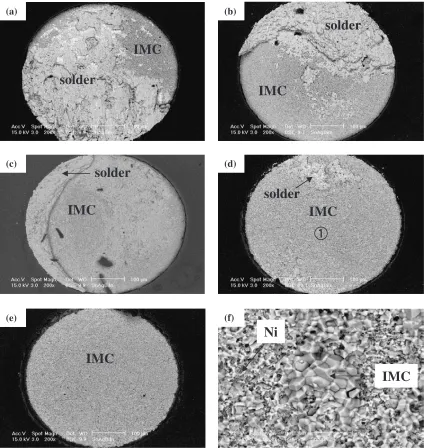 Fig. 6SEM micrographs of the fracture surfaces in the joint after aging by the ball shear test: (a) as-reﬂowed, (b) 343 K, 100 days, (c)373 K, 100 days, (d) 423 K, 100 days, (e) 443 K, 100 days and (f) enlarged image of � of (d).