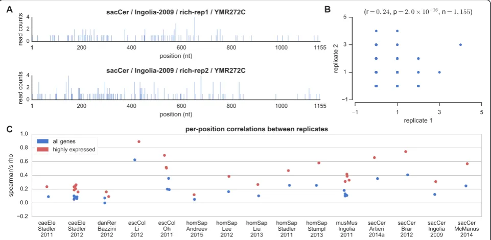 Fig. 3 Comparison of position-specific occupancies. a Two measured profiles for the S