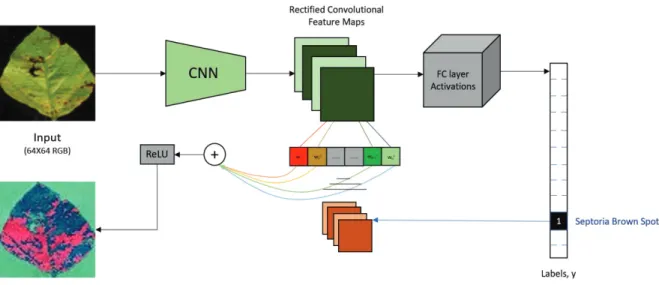 Figure 2.6 Illustration of the Grad-CAM algorithm