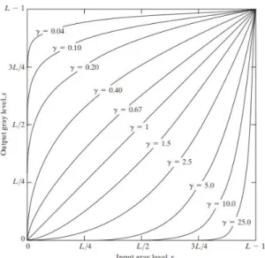 Figure 3.1 Plots of Equation 3.1 for various values of γ (c = 1 in all cases)