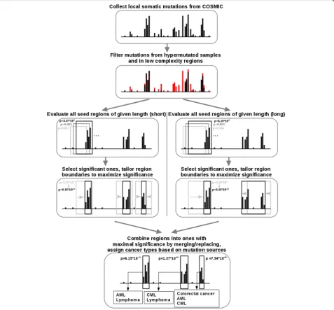 Fig. 1 Outline of the method. All local somatic mutations are collected from the COSMIC database for a given gene, discarding mutationscorresponding protein sequence is selected and is assessed for significant enrichment of mutations compared to the expect