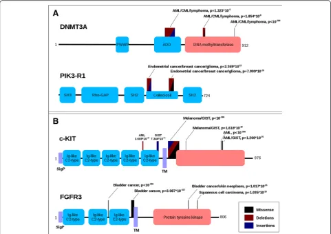 Fig. 5 Proteins with multiple regions covering multiple cancer types. Symmetrically positioned boxes represent structural/functional protein units:grey – signal sequence, black – transmembrane region, various colors – domains (red = catalytic domains, blue