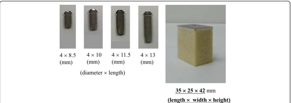 Fig. 1 (a) Dental implants with four lengths (8.5, 10, 11.5, and 13 mm) and (b) an artificial bone specimen comprising a cortical layer and thecellular structure of trabecular bone