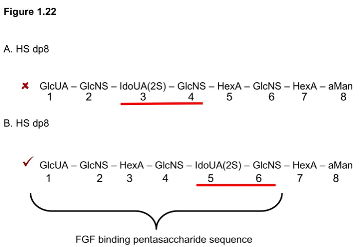 Figure 1.22 