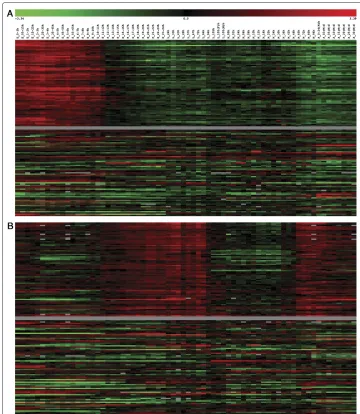 Figure 3 Developmental Transcription Profiles for Two of the GO- Biological Process Categories.The gene expression profiles of two of the GO-BP categories: (A) DNA-dependent DNA replication, and (B)oxidative phosphorylation are shown