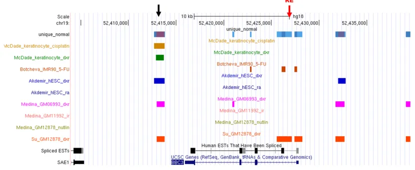 Figure 5. BBC3 (PUMA) gene in UCSC Genome Browser 