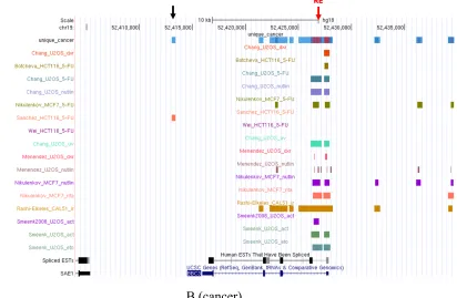 Figure 5 shows one main famous target gene BBC3 (PUMA) overlaps with ChIP 