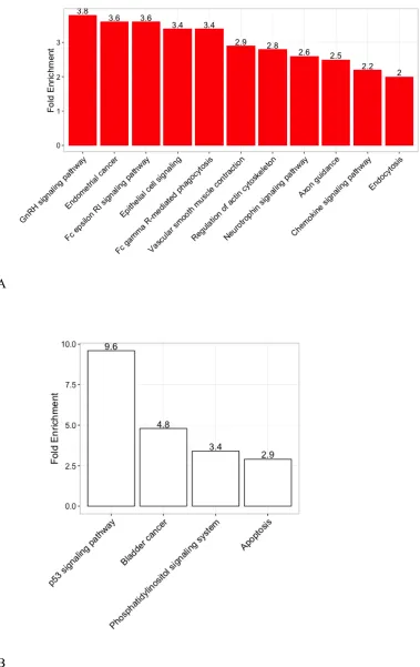 Figure 9. Enriched pathways for p53 genes from DAVID 