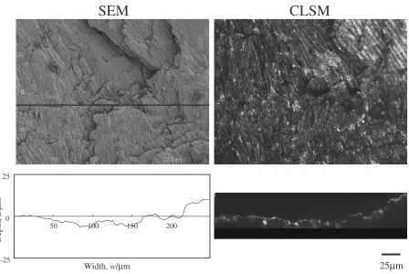 Fig. 2SEM images and respective depth proﬁles obtained from the irradiated area of enamel and dentin at 6 W