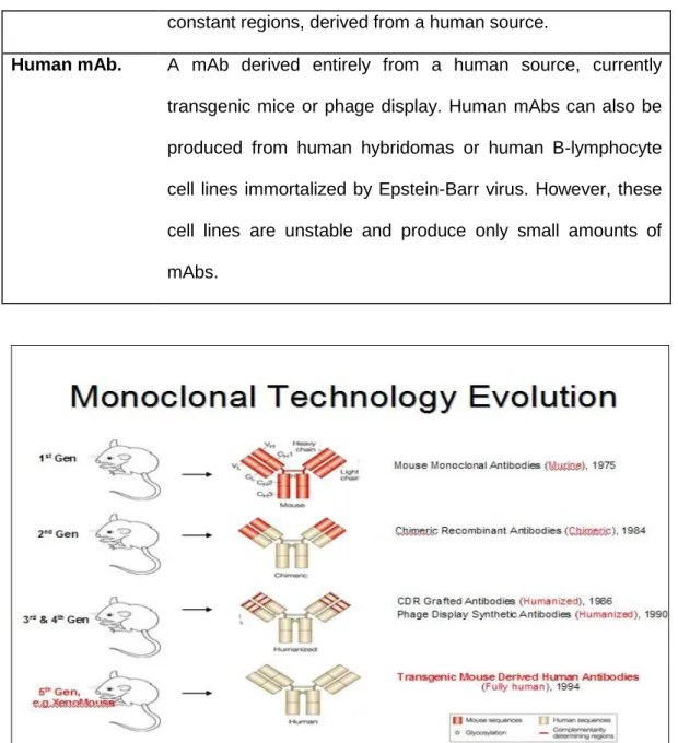 Figure 4. Monoclonal Technology Evolution 
