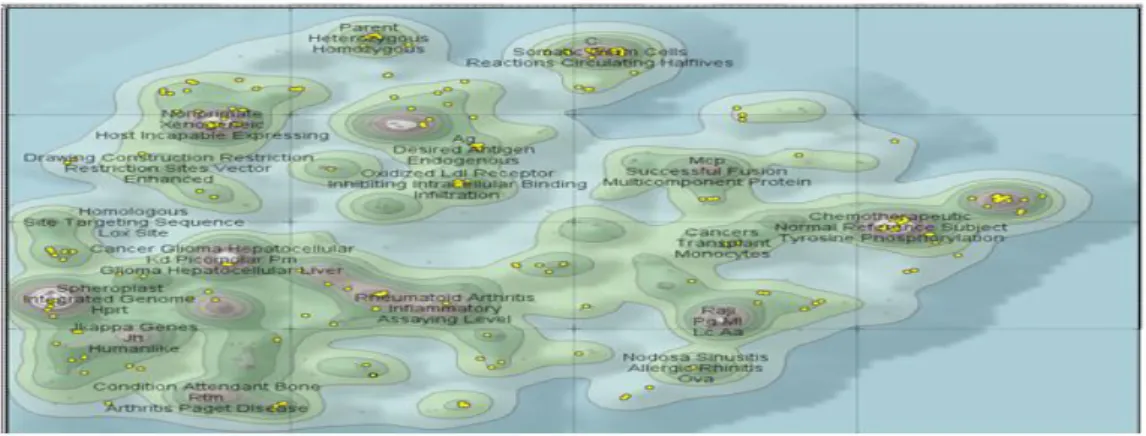 Figure 11. Patent Allocation (Keyword: transgenic mouse)