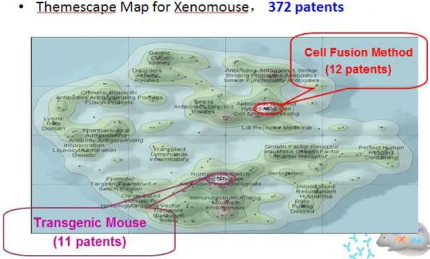 Figure 15. Themescape Map for 372 Patents Most Relating to Xenomouse 