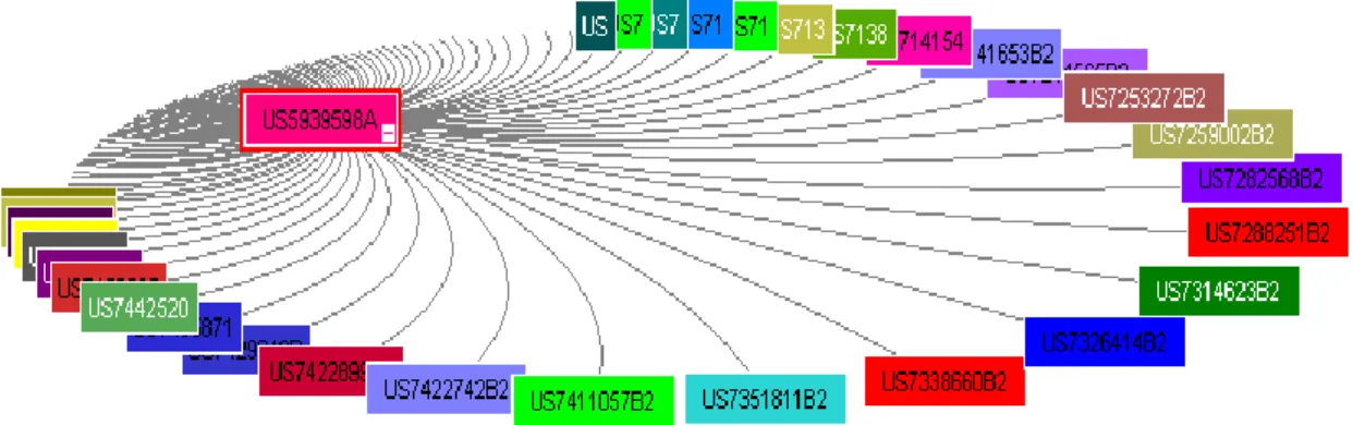 Figure 16. US Patent 5,939,598 Forward Citation  