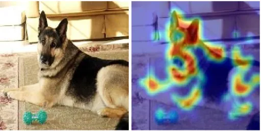 Figure 1.1: Saliency map example. Left: RGB reference image taken from