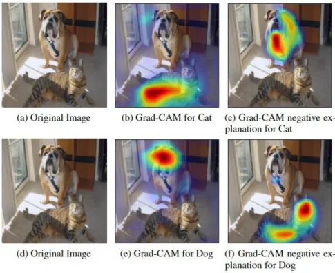 Figure 2.2: Example images of the Grad-CAM technique proposed in [91]. Hot regions highlight those parts of the input image that are mostly related to a specific class.